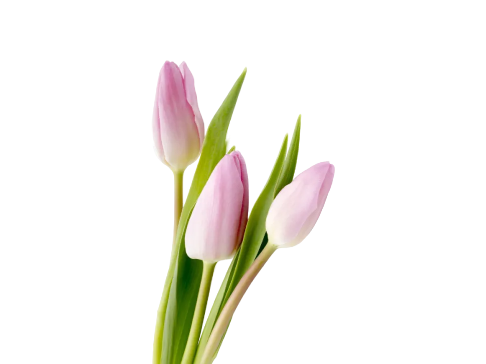 Скидка 8% на 8 марта