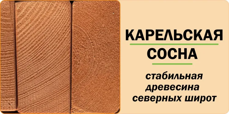 Зимняя горка Савушка Зима 9/1 Зимняя горка Савушка Зима 9/1
