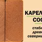 Зимняя горка Савушка Зима 9/1 Зимняя горка Савушка Зима 9/1