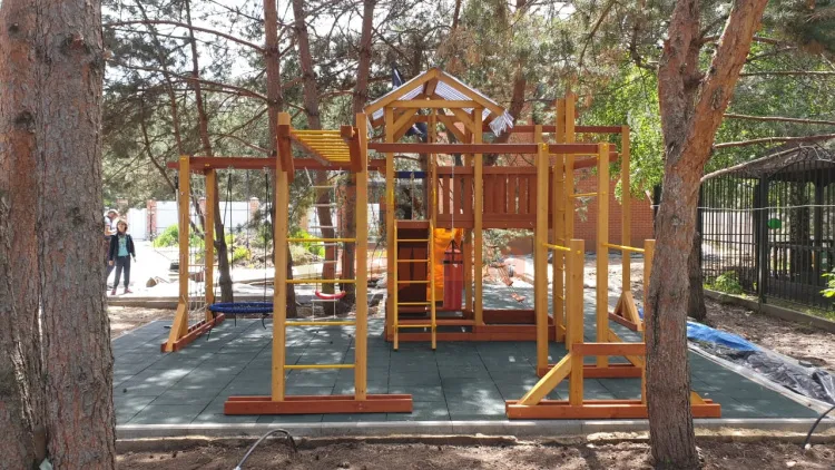 Детская площадка Савушка Семейная