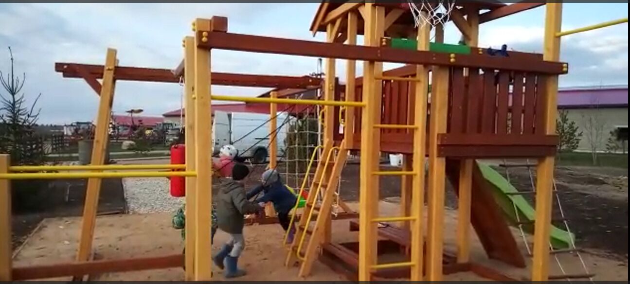 Детская игровая площадка Савушка Семейная