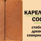 Зимняя горка Савушка Зима Wood 7/2 Зимняя горка Савушка Зима Wood 7/2